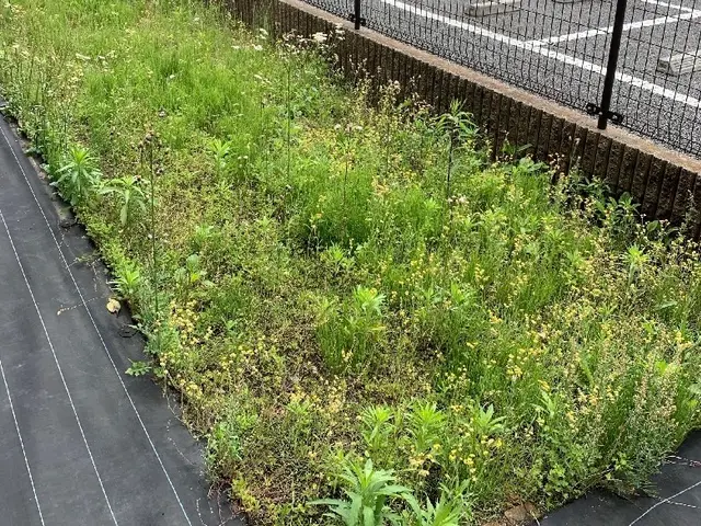 プロの技術でご満足いただけるように心を込めて作業いたします◎女性スタッフ同行可能サービスの画像