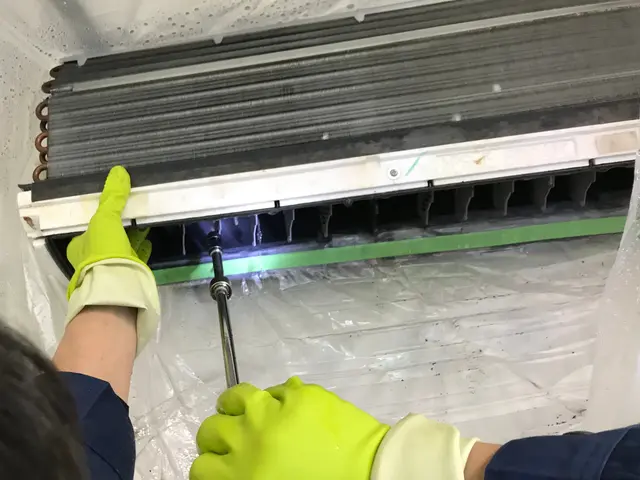 カビ風は呼吸器疾患の原因です。エアコンクリーニングで健康に涼しく過ごせます！サービスの画像