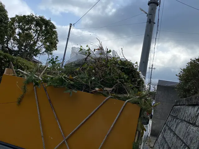 草刈り手引き除草でお庭スッキリサービスの画像