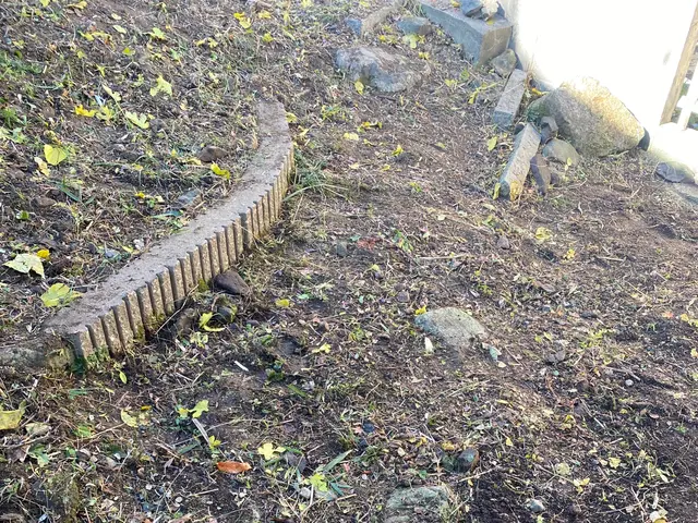 草刈り手引き除草でお庭スッキリサービスの画像