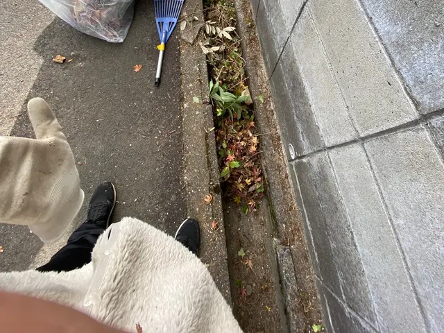 草刈り手引き除草でお庭スッキリサービスの画像