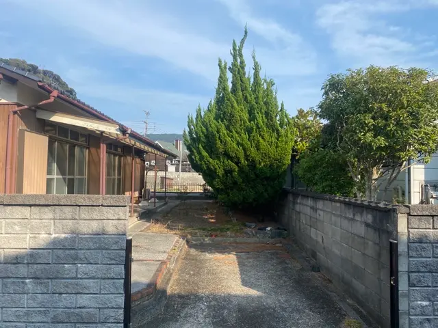 高木伐採・庭木の伐採｜5m以上も対応可サービスの画像