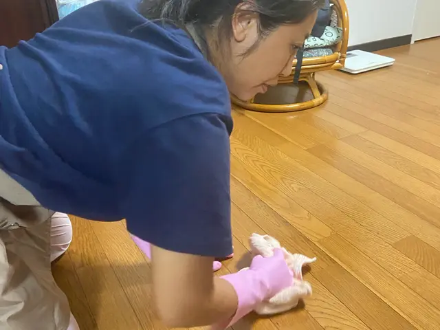 女性＆中国語対応スタッフの空室ハウスクリーニング（入退去・引越し前後）サービスの画像