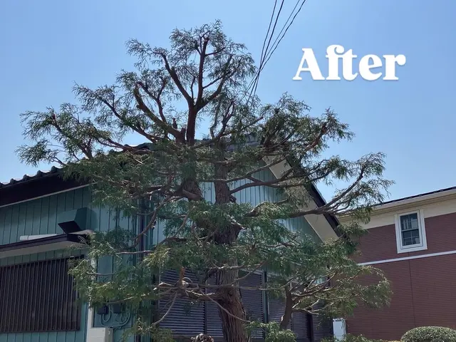 【庭を知り尽くしたプロがお伺い！】12年の実績あり◉高度な技術力に自信あり◉サービスの画像