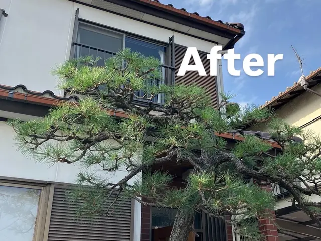 【庭を知り尽くしたプロがお伺い！】12年の実績あり◉高度な技術力に自信あり◉サービスの画像