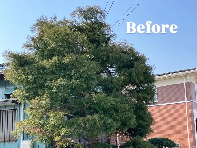 【庭を知り尽くしたプロがお伺い！】12年の実績あり◉高度な技術力に自信あり◉サービスの画像