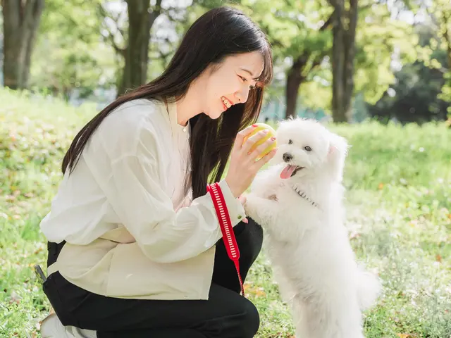 全員女性スタッフ◎愛情たっぷりお世話代行！飼い主様に寄り添います。サービスの画像