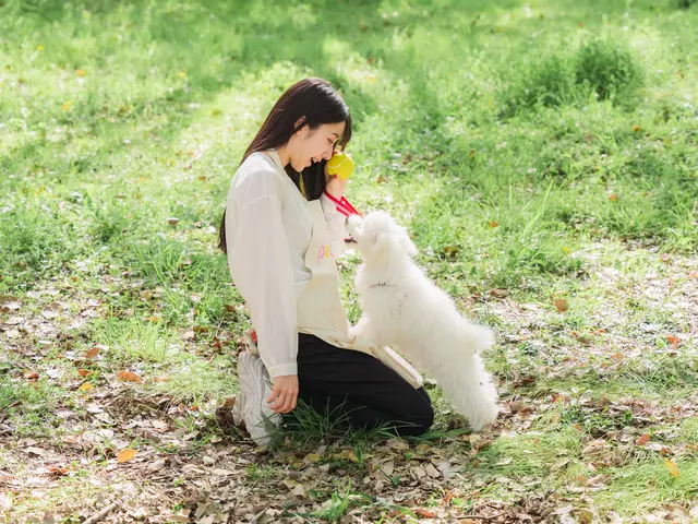 全員女性スタッフ◎愛情たっぷりお世話代行！飼い主様に寄り添います。サービスの画像