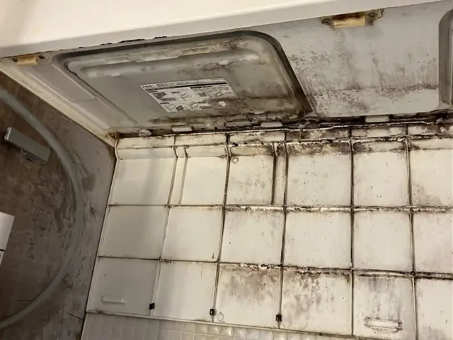 セットがお得！カビも水アカも徹底除去！サービスの画像
