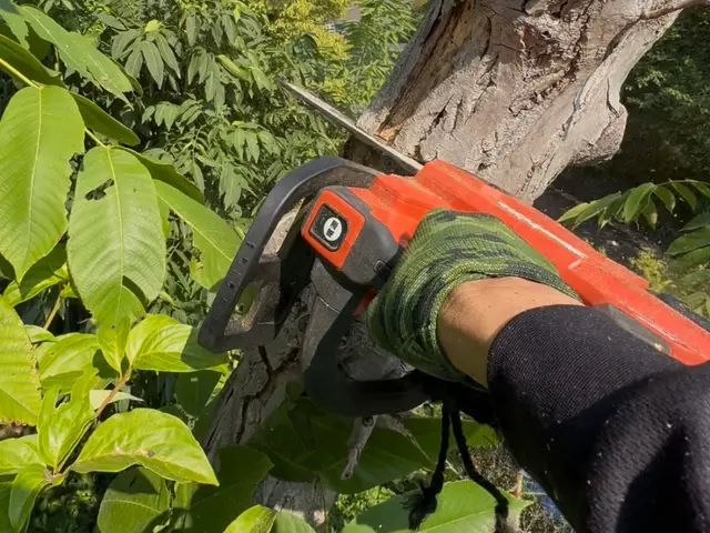 伐採で新しい空間へ。困っていた事が解決！ワクワクの空間へ生まれ変わります♪サービスの画像