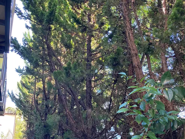 【四日市発！年中無休】100％自社対応◎営業時間外・対応地域外でもご要望OK！サービスの画像