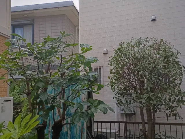 庭木のお手入れ（剪定・刈り込み・芝刈り・草刈り・除草）サービスの画像