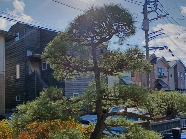 庭木のお手入れ（剪定・刈り込み・芝刈り・草刈り・除草）サービスの画像