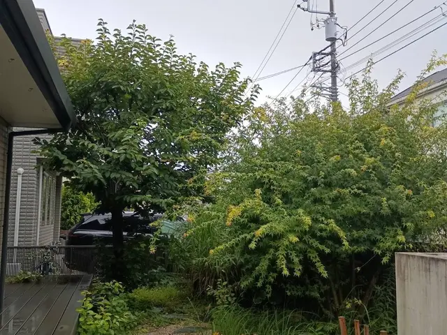 庭木のお手入れ（剪定・刈り込み・芝刈り・草刈り・除草）サービスの画像