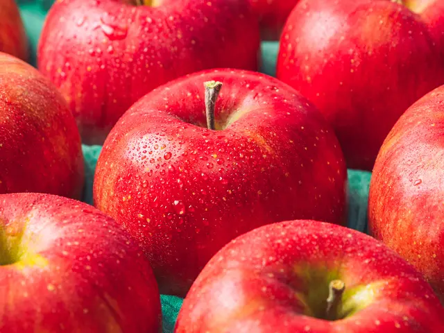 【２月出店】経験5年・実績200件以上！店長が必ず伺うデザイン志向の出張撮影です