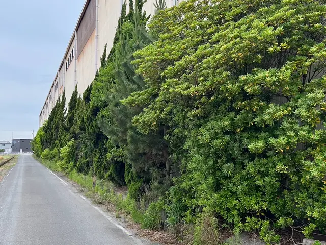 強剪定〜伐採はお任せ下さい。周りの環境で作業可能かどうか判断する必要があります。サービスの画像