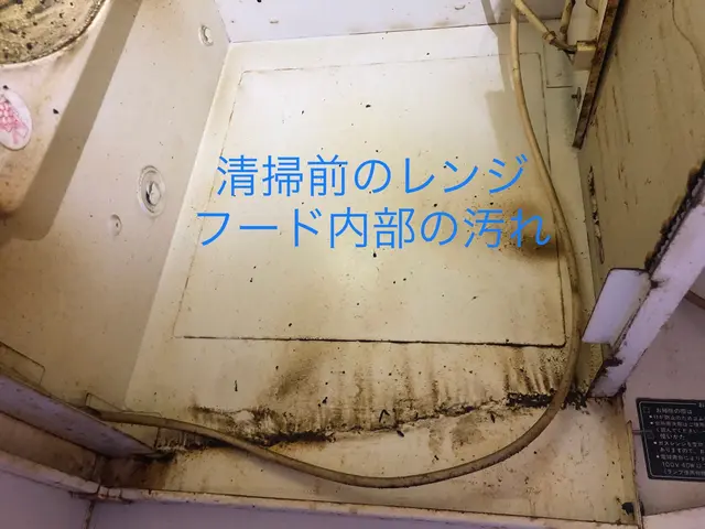 ★大手出身のクリーニングプロが、作業前後の違いをしっかりとお見せします。サービスの画像