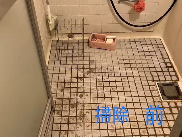 ★大手出身のクリーニングプロが、作業前後の違いをしっかりとお見せします。サービスの画像