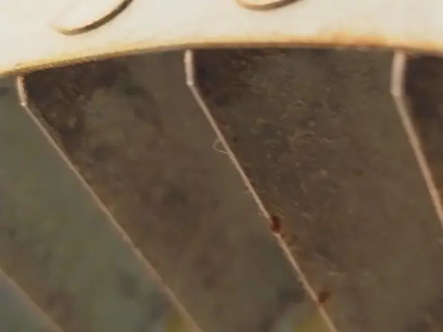 油だらけの換気扇じゃケムリすわないですよ！油剥ぎ取りましょう！浸け置き洗いで剝！サービスの画像