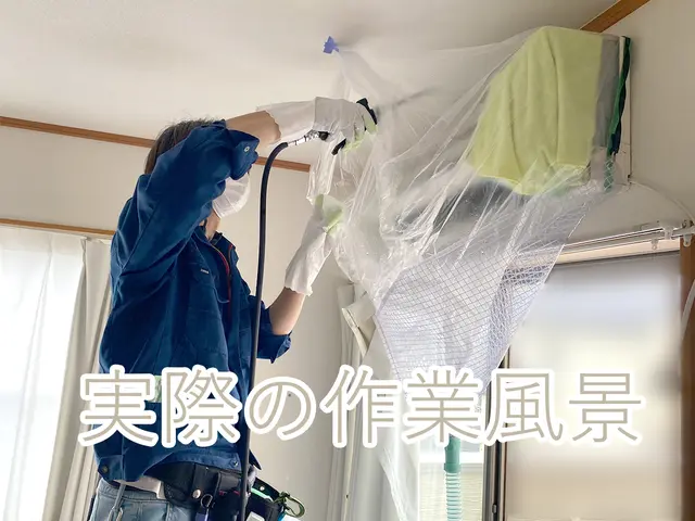 【赤ちゃん、ペット専門】クリーニング歴１０年のこだわり洗剤◎優しさと洗浄力◎サービスの画像