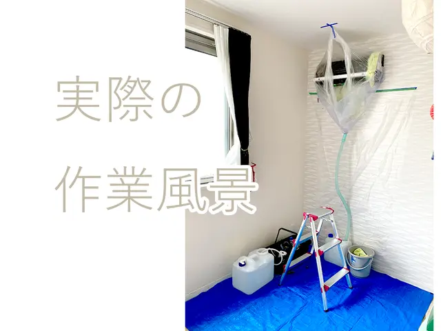 【赤ちゃん、ペット専門】クリーニング歴１０年のこだわり洗剤◎優しさと洗浄力◎サービスの画像