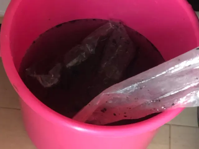 綺麗な空気といい匂い カビ ホコリ落とします。養生しっかりやります。サービスの画像