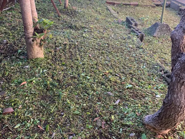 そこまでやるの！を合言葉に。親切、丁寧気持ちよくお仕事したいと思います。特典付きサービスの画像