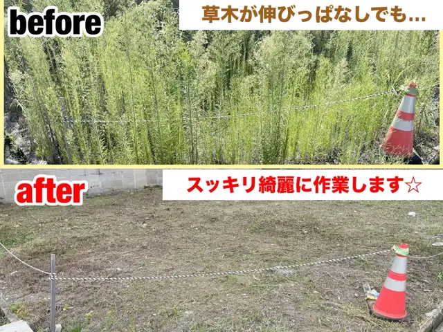 【こんなこと聞いていいの？】のご要望にお応え◎木を美しく剪定◎お気軽にどうぞ！サービスの画像