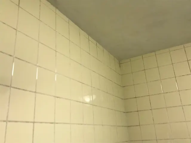 ◎損害保険加入済◎ハウスクリーニング士有資格者が伺います◎PayPay払い可能サービスの画像