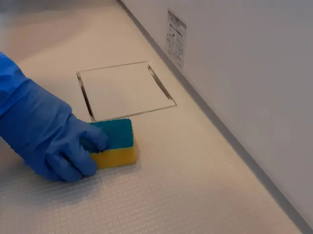 ◎損害保険加入済◎ハウスクリーニング士有資格者が伺います◎PayPay払い可能サービスの画像