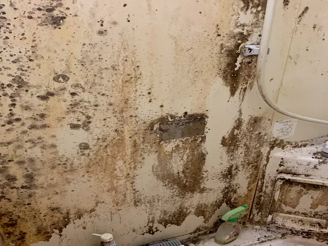 ＜損害保険加入済◎＞100%自社対応◎営業時間外・対応地域外もご相談歓迎！サービスの画像