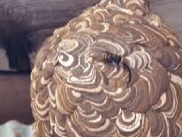 ☆業歴10年以上☆プロの職人がお伺いします！最短即日対応可能！迅速に対応します！サービスの画像