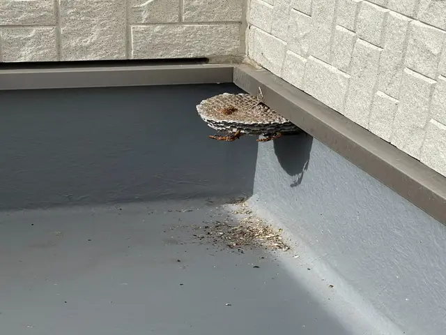 ☆業歴10年以上☆プロの職人がお伺いします！最短即日対応可能！迅速に対応します！サービスの画像