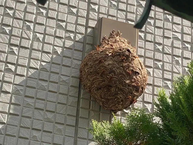 ☆業歴10年以上☆プロの職人がお伺いします！最短即日対応可能！迅速に対応します！サービスの画像