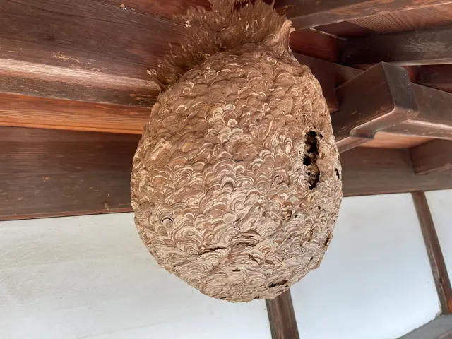 ☆業歴10年以上☆プロの職人がお伺いします！最短即日対応可能！迅速に対応します！サービスの画像