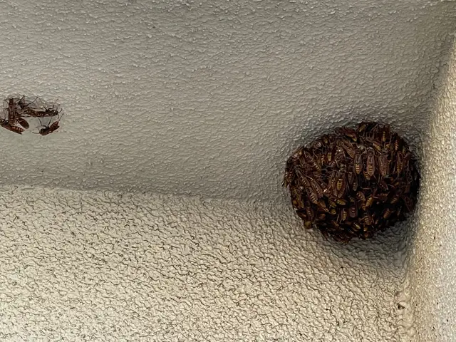 ☆業歴10年以上☆プロの職人がお伺いします！最短即日対応可能！迅速に対応します！サービスの画像