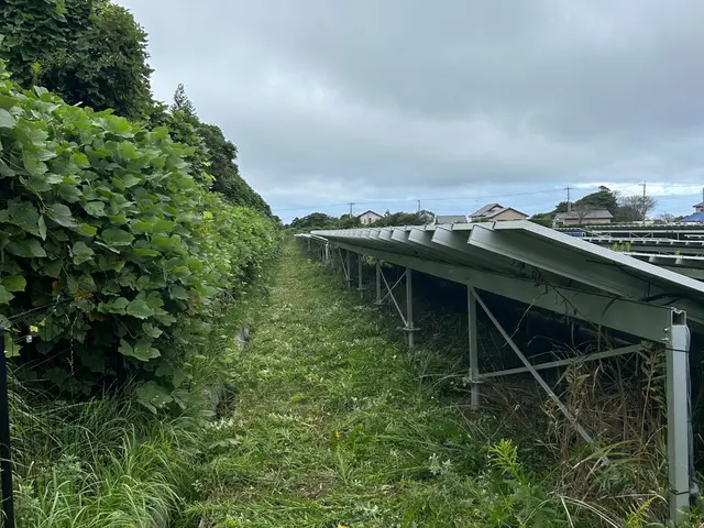 草刈り作業承ります！まずは気軽に問い合わせにてご相談ください！サービスの画像