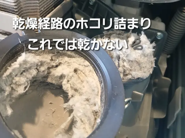 Panasonicドラム式 専門対応【乾燥復活】安心と実績の分解クリーニング☆サービスの画像