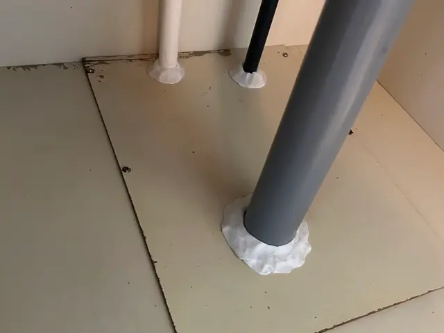 徹底駆除＆再発防止！安心のゴキブリ対策サービスの画像