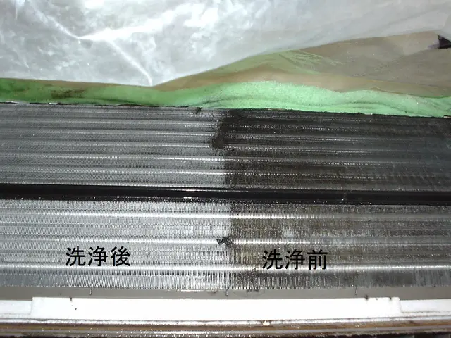 エコ洗剤で安全★嫌な臭いもスッキリ♪消臭抗菌サービス♪洗浄の汚水は持ち帰ります♪サービスの画像