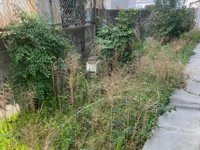 空き家 荒れ放題の草木 まとめて当店でお任せください！(^^) 防草シート施工可サービスの画像