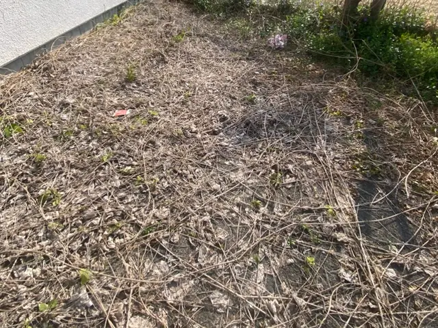 空き家 荒れ放題の草木 まとめて当店でお任せください！(^^) 防草シート施工可サービスの画像
