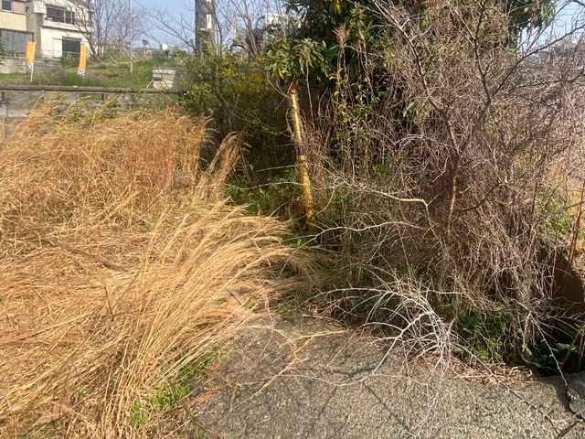 空き家 荒れ放題の草木 まとめて当店でお任せください！(^^) 防草シート施工可サービスの画像