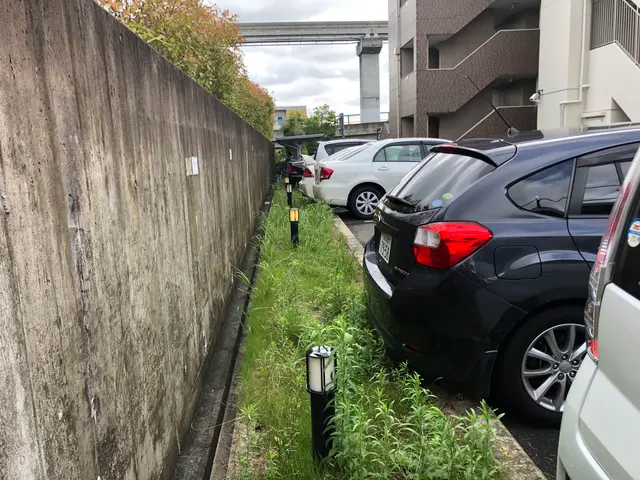 ★施工は当社スタッフ!!★プロの庭師が技術を提供します!!サービスの画像