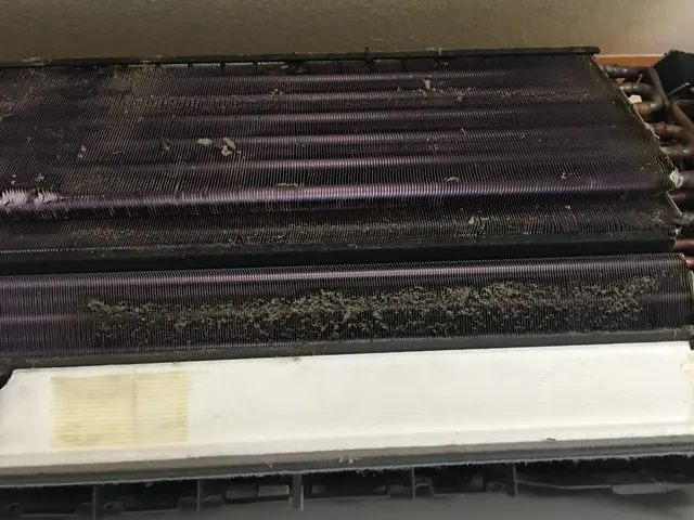 《あなたの暮らしの御用聞き》女性スタッフ在籍◇損害保険加入◇隅々まで徹底洗浄！サービスの画像