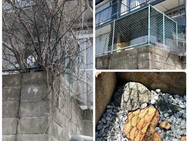 【庭木の伐採】迅速・丁寧な対応！地域密着サービス！★複数本で割引あり★サービスの画像