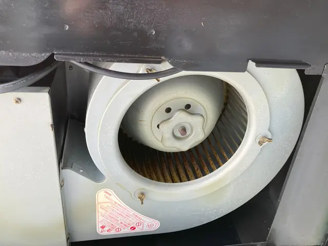 ファンを取り外し、油汚れを中心にスッキリ綺麗にいたします！サービスの画像