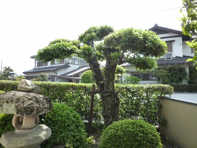 樹高4m内外までの植木の植栽可能です！花木、果樹などお任せください！サービスの画像