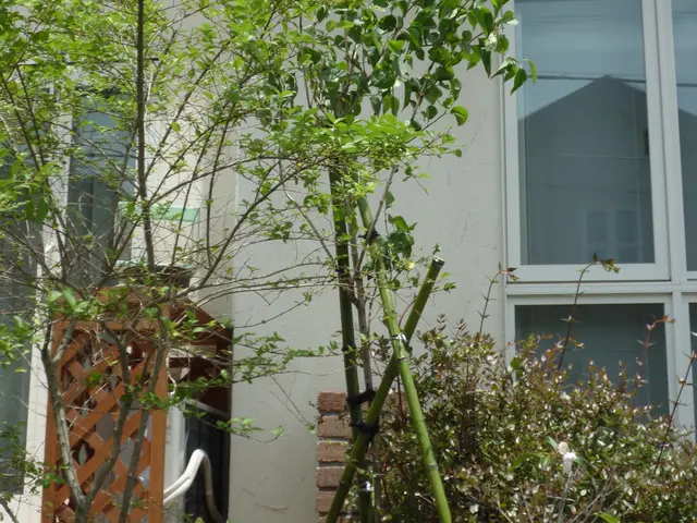 樹高4m内外までの植木の植栽可能です！花木、果樹などお任せください！サービスの画像