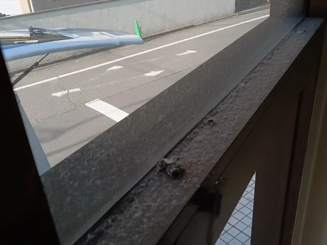 豊富な経験と知識で安心！仕上がり重視で丁寧に作業いたします！サービスの画像